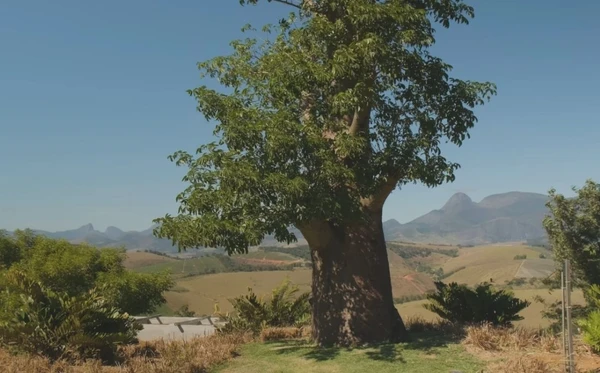 Rancho da Montanha por Reprodução