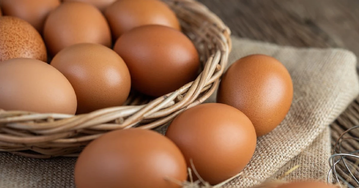 Imagem - Comer ovos afeta fígado, pâncreas e rins: veja quem precisa ter cuidado