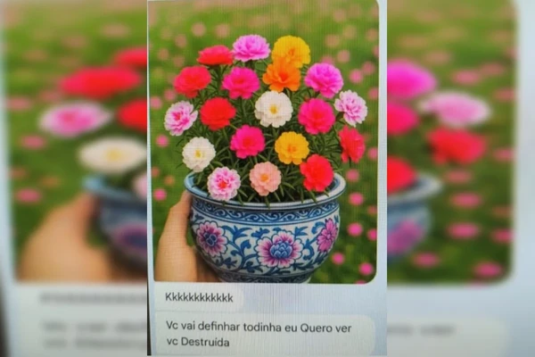 Mensagens de ameaça foram registrada por Reprodução