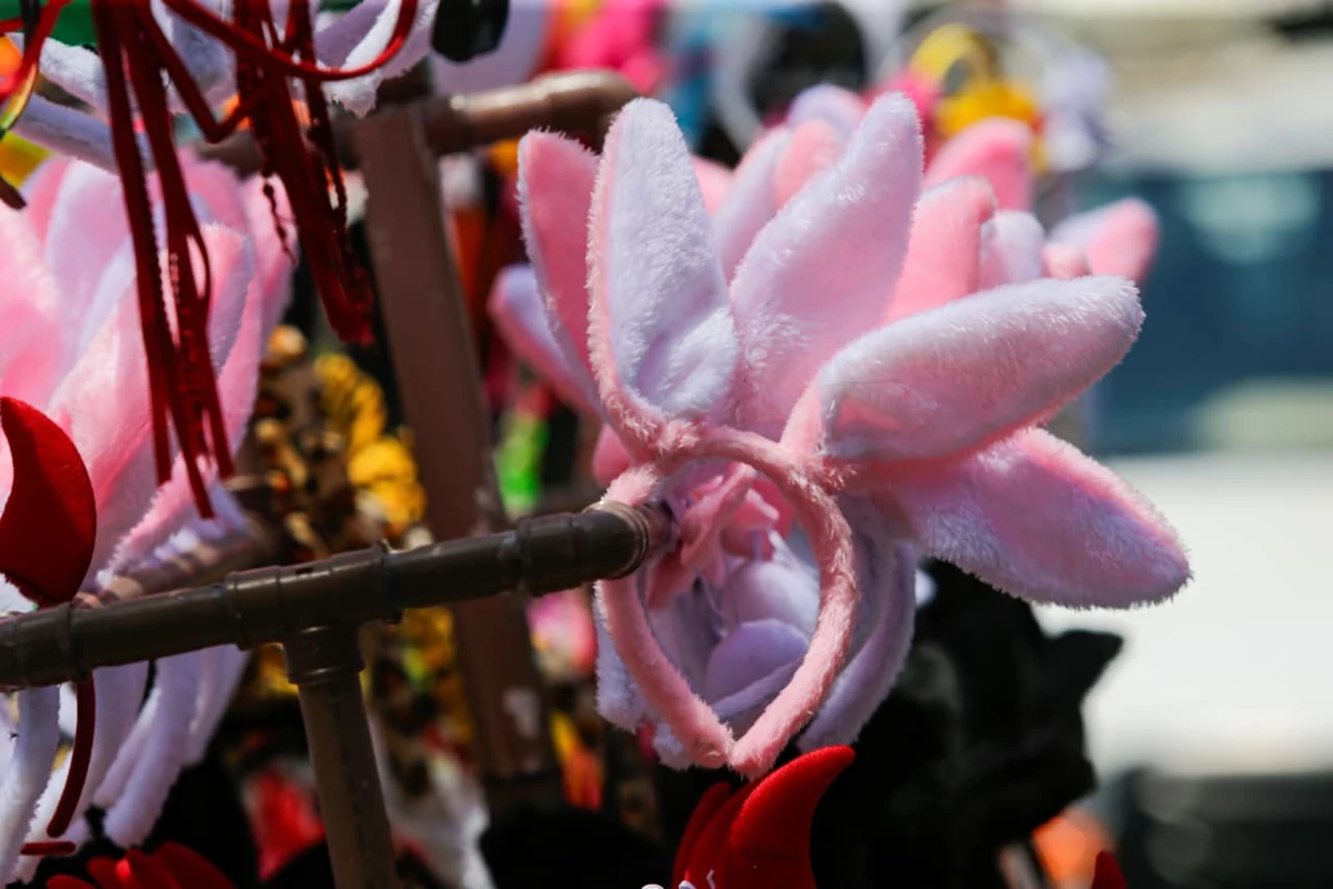 Vendedores exibem fantasias, perucas, saias de tule e muito mais por Arisson Marinho/CORREIO