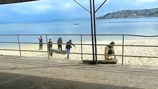 Caso ocorreu na praia da Penha