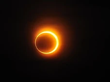 Imagem - Mundo entrará no ‘modo noturno’ em breve e animais começam a se preparar