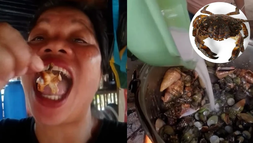 Imagem - Influenciadora de comida morre após comer 'caranguejo do diabo' em vídeo
