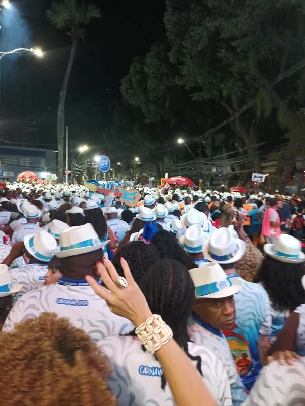 Alerta Geral abre o desfile dos blocos que levam o sambão raiz para a avenida
