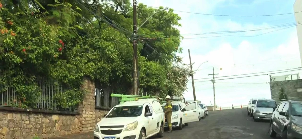 Árvore de grande porte tombou por Reprodução/TV Bahia