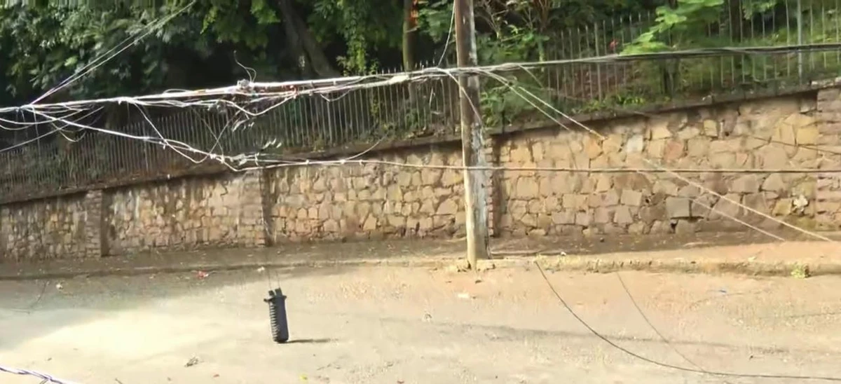 Árvore de grande porte tombou por Reprodução/TV Bahia