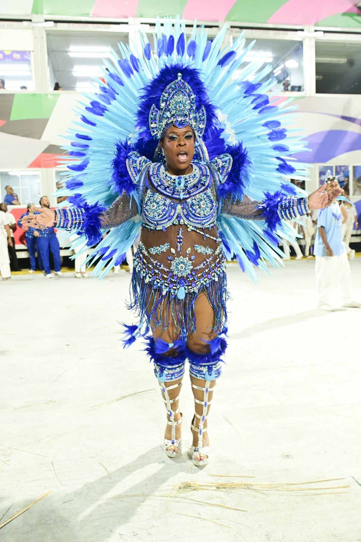 Cacau Protásio desfila pela Portela por Leo Franco / AgNews