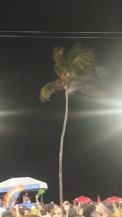 Coqueiro pega fogo durante passagem de bloco no Carnaval de Salvador por Yan Inácio/CORREIO