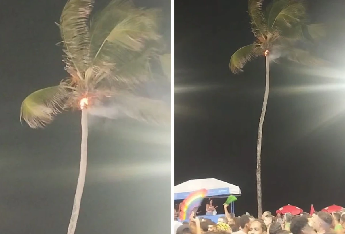 Coqueiro pegou fogo no Circuito Barra-Ondina