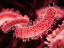 Imagem - Bactéria resistente a 28 antibióticos e presa no gelo há 5 mil anos pode 'descongelar' e afetar população mundial