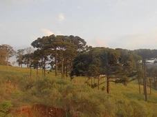 Imagem - Nem Japão, nem Europa: a cidade 'perfeita' fica no Brasil e lidera ranking nacional