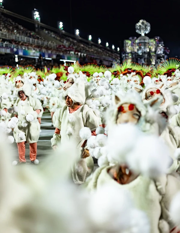 Cão Orelha é homenageado no desfile da Mocidade Independente de Padre Miguel por Reprodução