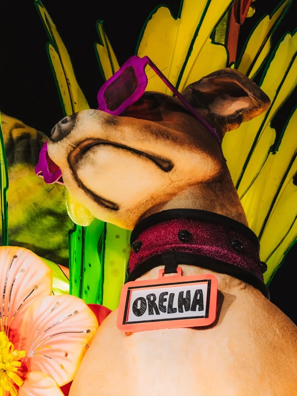 Cão Orelha é homenageado no desfile da Mocidade Independente de Padre Miguel por Reprodução