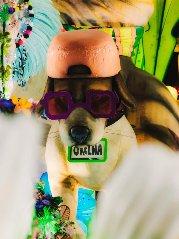 Cão Orelha é homenageado no desfile da Mocidade Independente de Padre Miguel