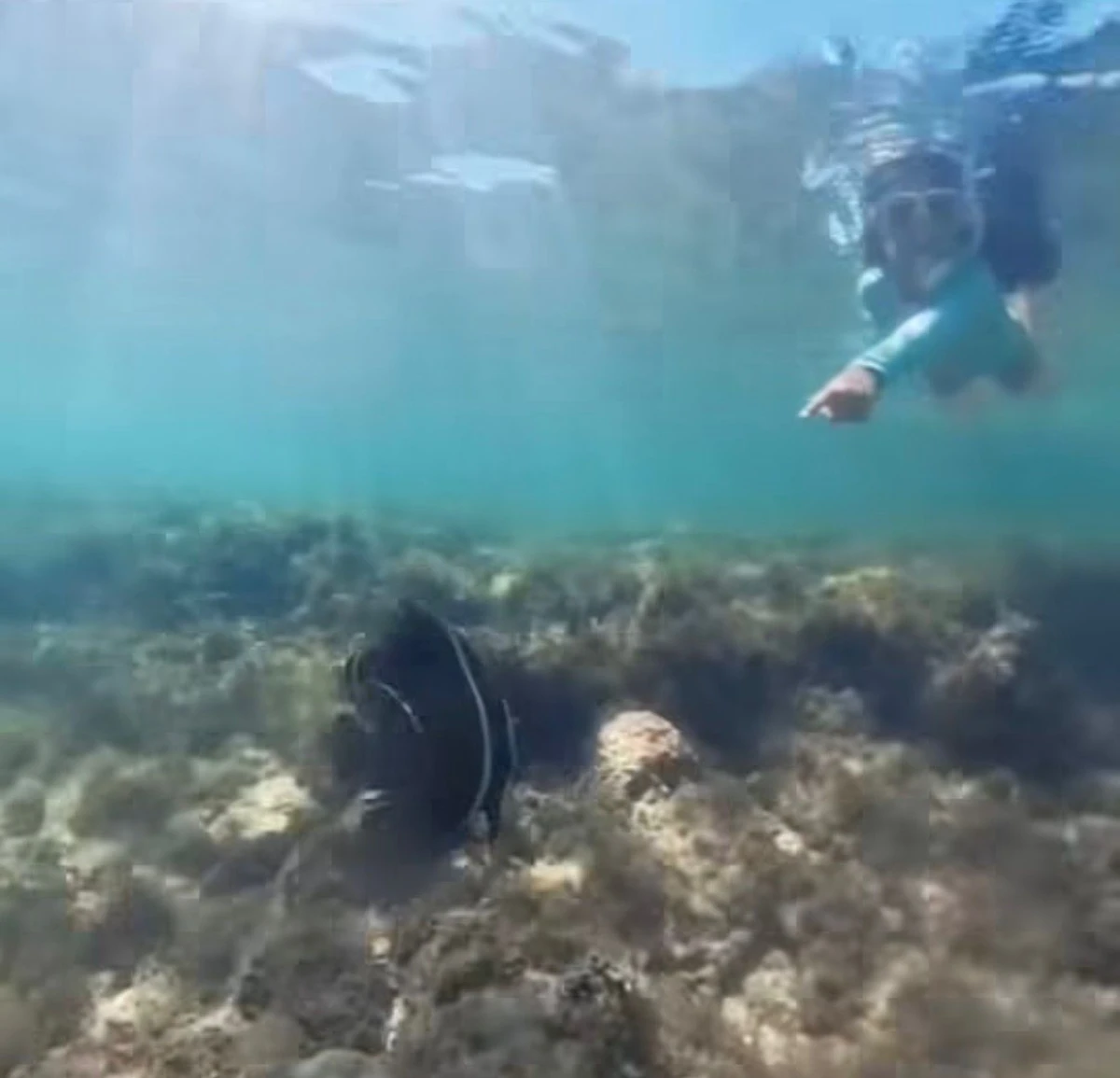 Daniel Cady e as filhas, Marina e Helena Sangalo por Reprodução