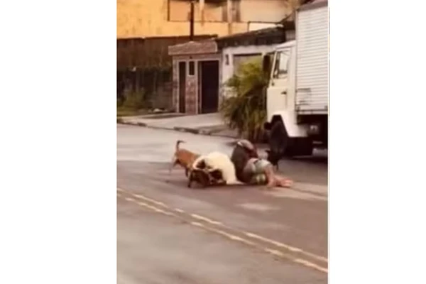 Ex-lutador de MMA teve que aplicar mata-leão em pit bull por Reprodução