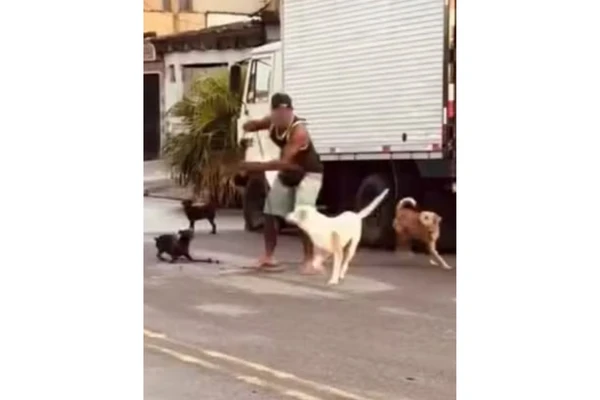 Ex-lutador de MMA teve que aplicar mata-leão em pit bull por Reprodução