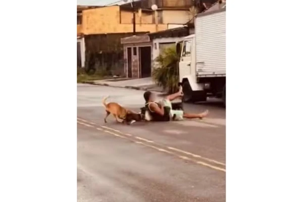 Ex-lutador de MMA teve que aplicar mata-leão em pit bull por Reprodução
