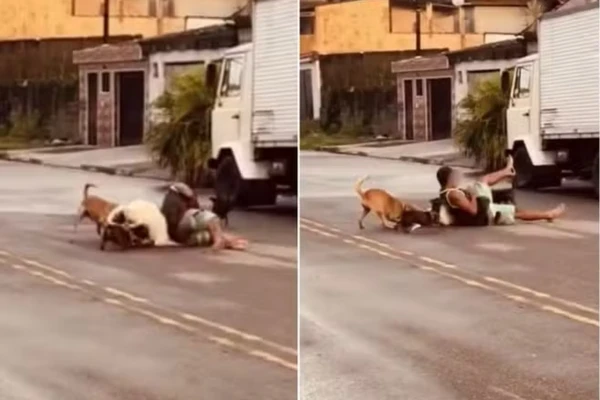 Ex-lutador de MMA teve que aplicar mata-leão em pit bull