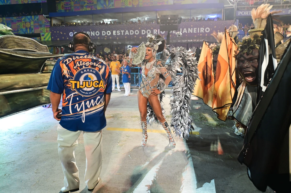 Imagens do desfile da Viradouro por  Leo Franco / AgNews