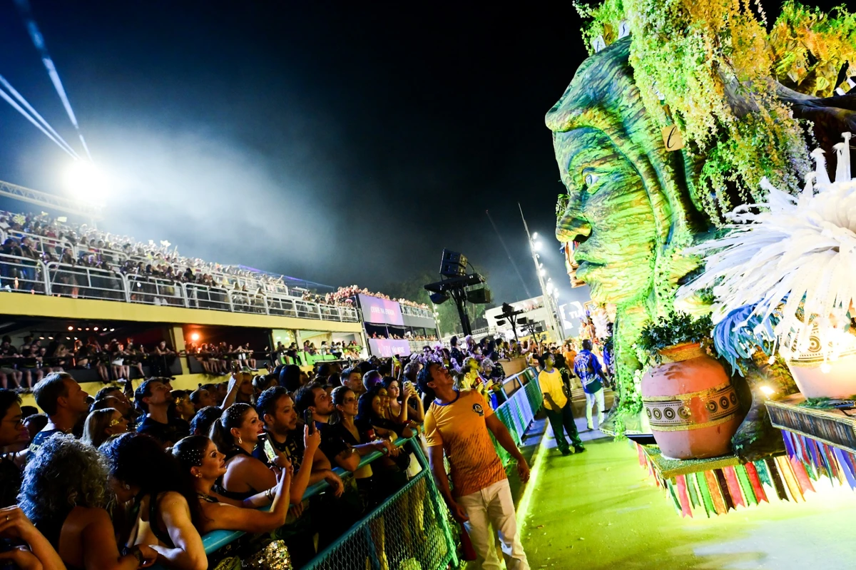 Imagens do desfile da Viradouro por  Leo Franco / AgNews