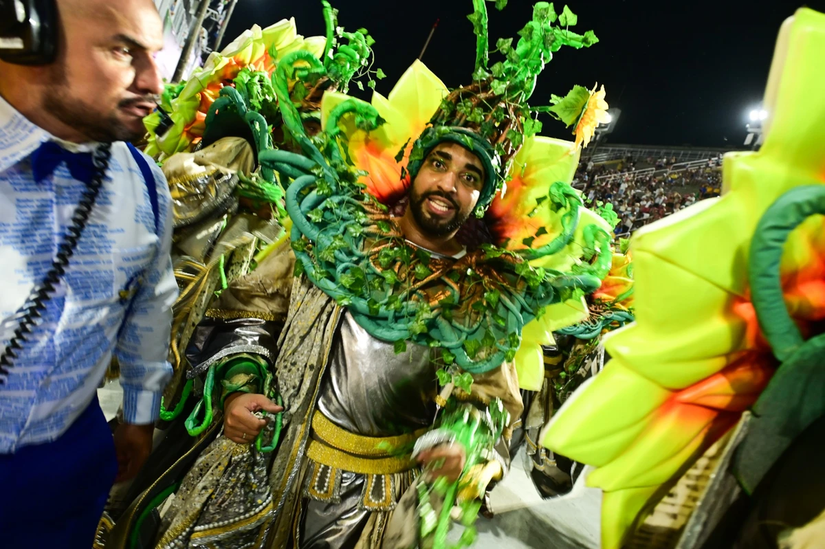Imagens do desfile da Viradouro