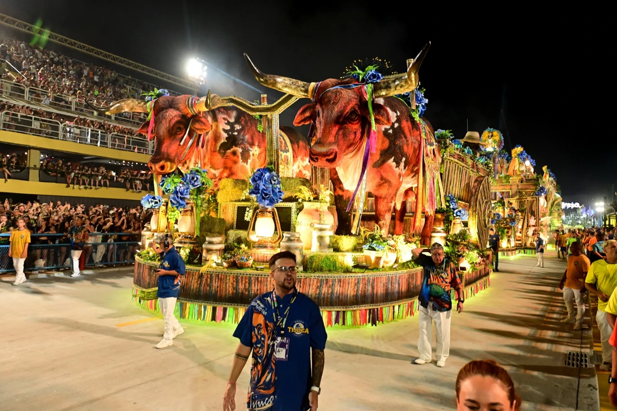 Imagens do desfile da Viradouro por  Leo Franco / AgNews