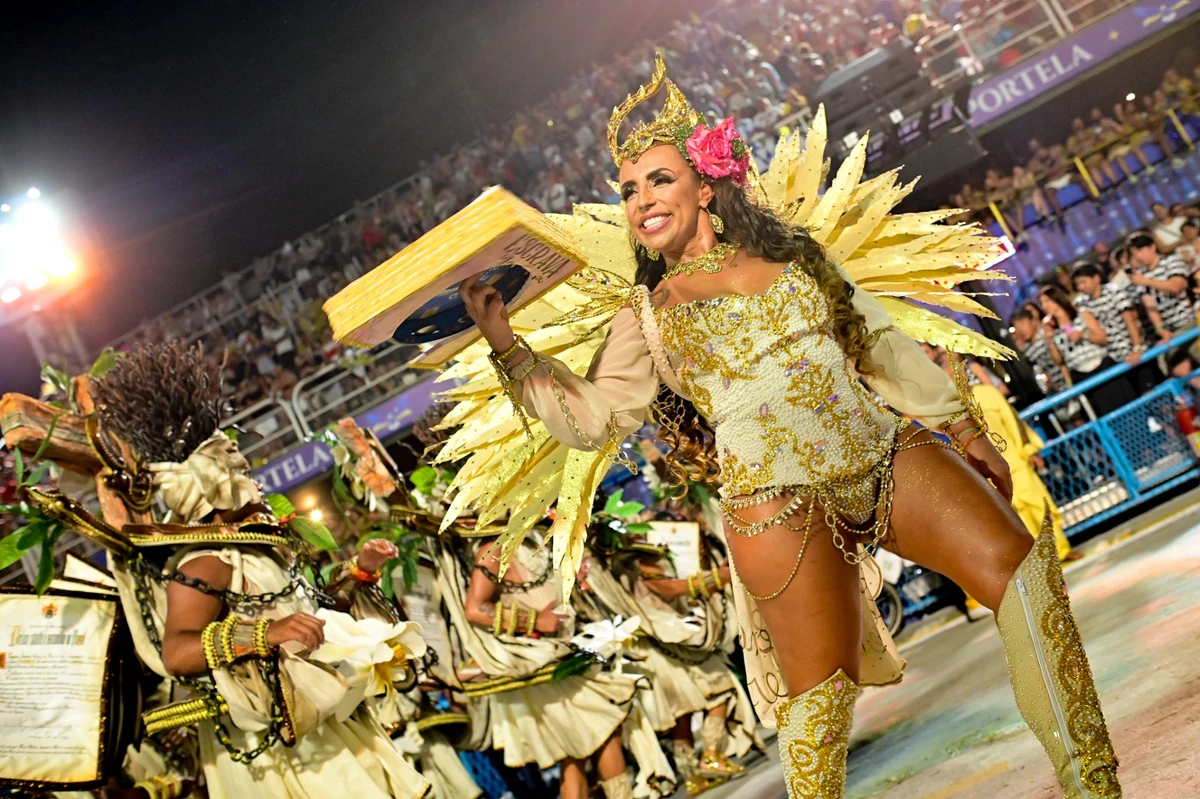Imagens do desfile da Viradouro por  Leo Franco / AgNews
