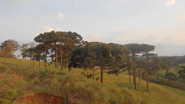 Resultado mostra que planejamento eficiente e participação da população podem transformar a limpeza urbana no Brasil