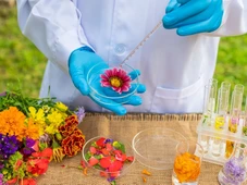 Imagem - Grupo Boticário abre inscrições para o Programa Jovem Aprendiz