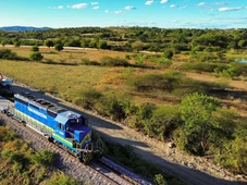 Imagem - Megaferrovia com mais de 1.200 km vai cortar 53 municípios do Brasil e já tem data para ser entregue