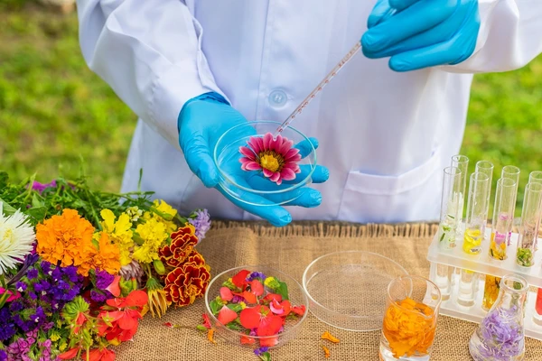 As vagas são para os modelos presencial, híbrido e remoto.