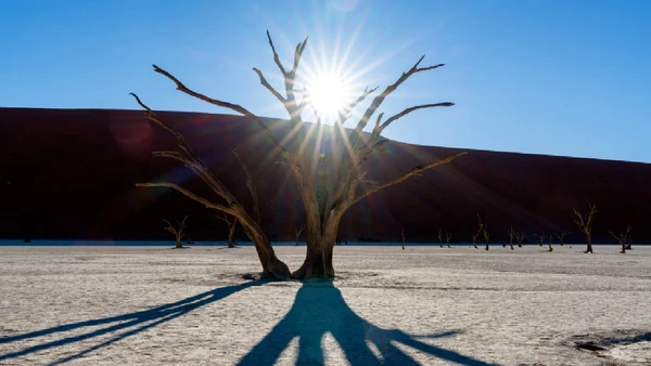 Conheça o projeto ambiental chinês apelidade de 'A Grande Muralha Verde'