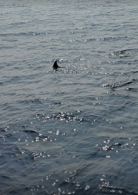 Maldivas por Reprodução | Instagram