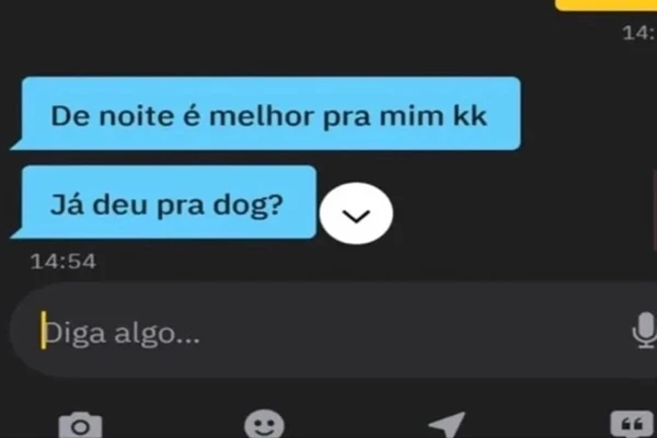 Mensagens enviadas pelo tutor do cachorro em aplicativo de relacionamento por Reprodução/Metrópoles