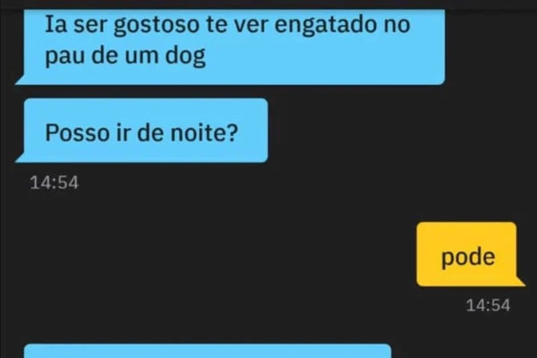 Mensagens enviadas pelo tutor do cachorro em aplicativo de relacionamento por Reprodução/Metrópoles