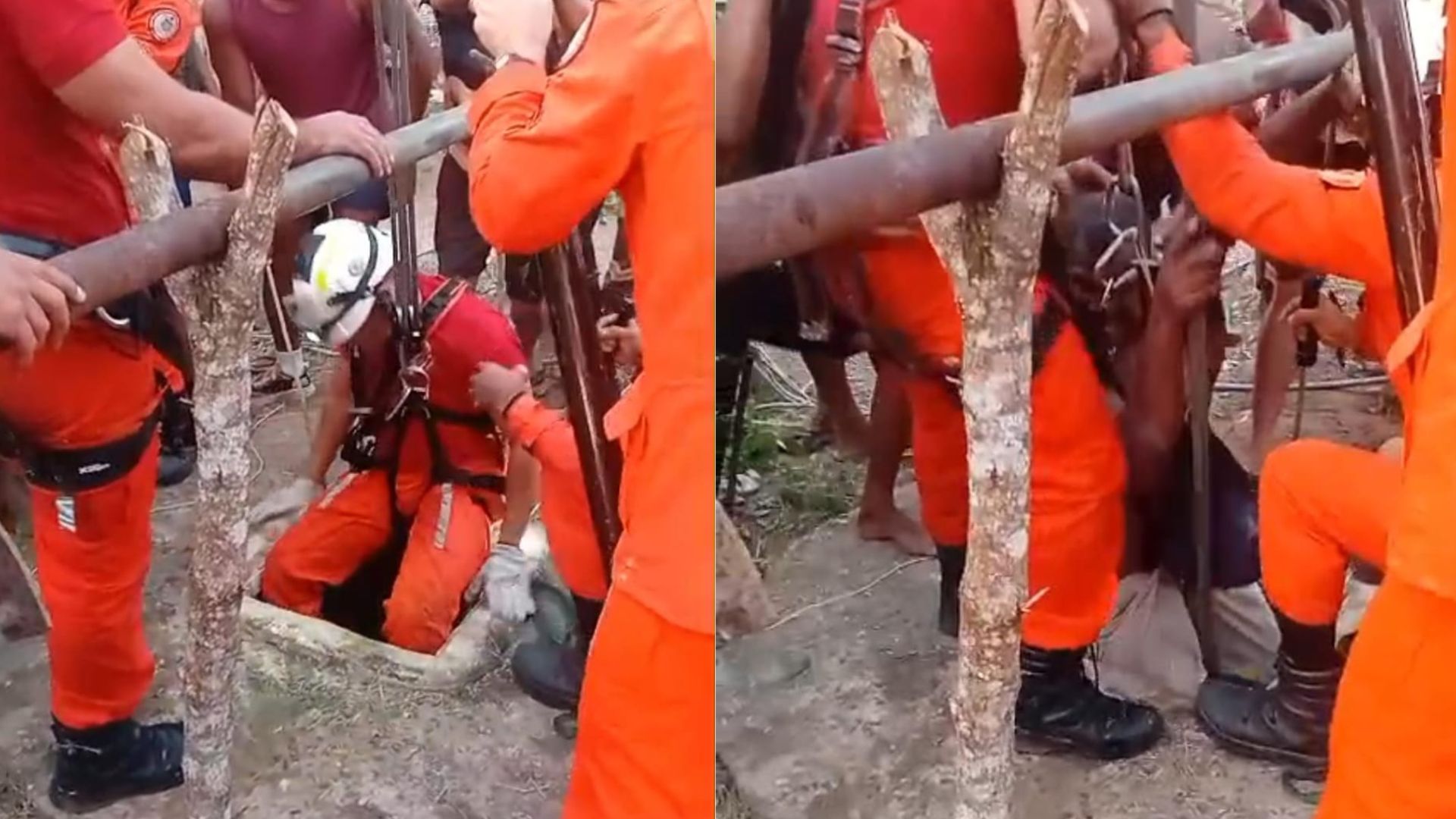 Resgate foi realizado pelo Corpo de Bombeiros por Divulgação