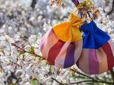 Imagem - Com a celebração do tradicional Seollal, comunidade coreana festejou a chegada do Ano-Novo