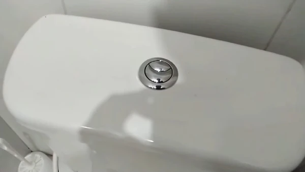 Com dois botões e volumes diferentes, o sistema alia praticidade, economia financeira e uso consciente da água