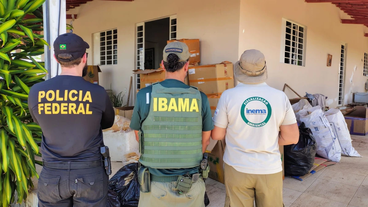 Imóvel afastado no sertão, espécies ameaçadas e informações escondidas: o que se sabe sobre os criminosos que arrancavam barbatanas de tubarão na Bahia por Polícia Federal/Divulgação