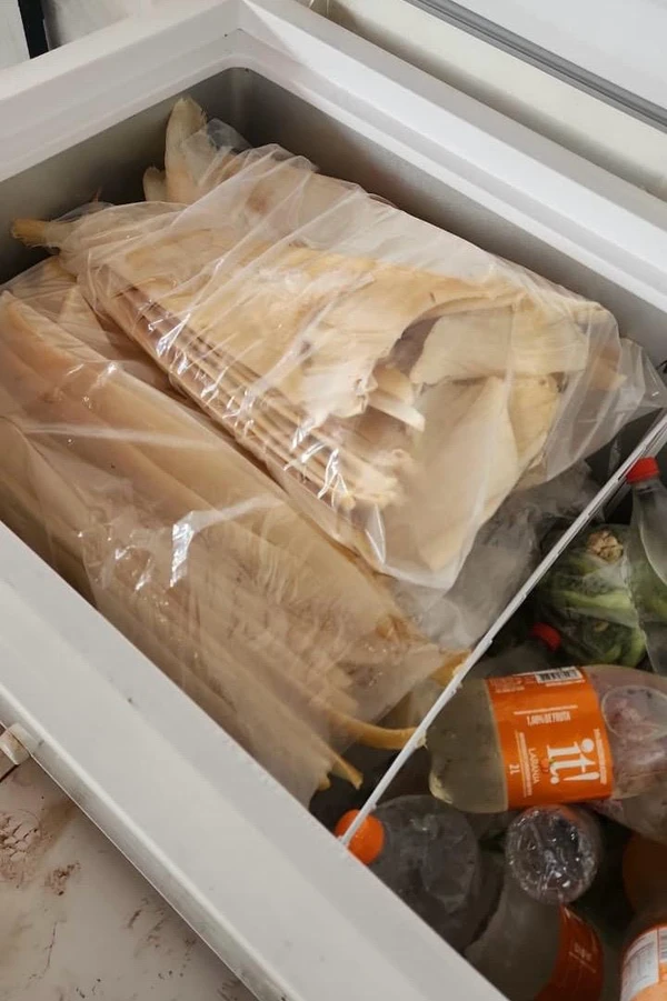 Barbatanas de tubarão são consideradas uma iguaria de luxo na China, por seu alto valor no país. O produto é muito cobiçado pelo tráfico internacional para fins alimentícios e medicinais. por Polícia Federal/Divulgação