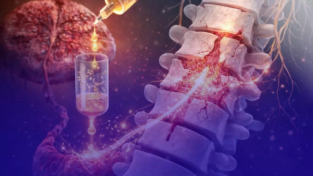 Polilaminina faz tetraplégicos recuperarem movimentos por Reprodução