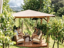 Imagem - Vinícolas brasileiras diversificam experiências em enoturismo