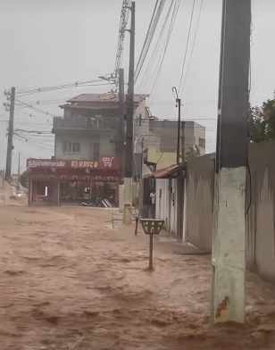 Cipó por Reprodução