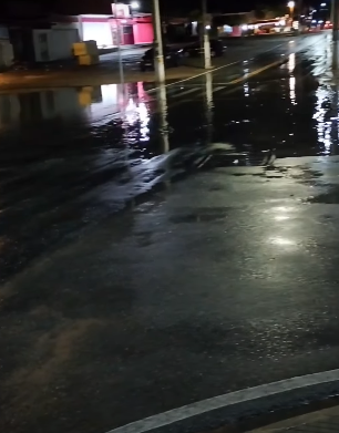 Cipó por Reprodução