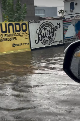 Cipó por Reprodução