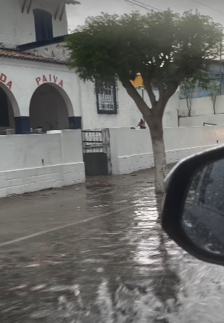 Cipó por Reprodução