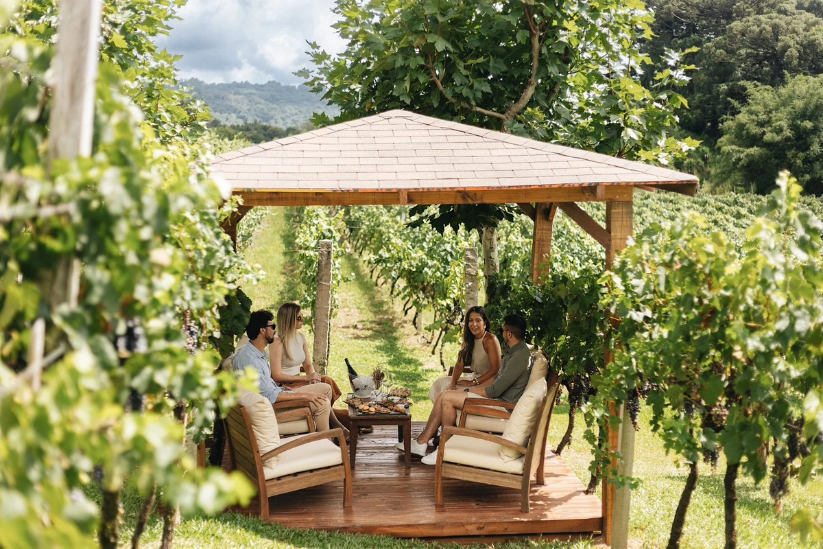 Para atender crescente demanda, as vinícolas brasileiras vêm diversificando seu portfólio de atrações