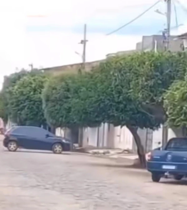 Os disparos estariam partindo de dentro de uma casa por Reprodução