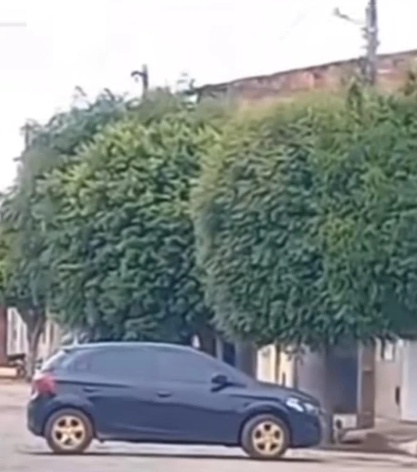 Os disparos estariam partindo de dentro de uma casa por Reprodução